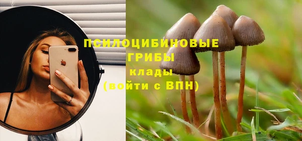прущие крисы Алексеевка