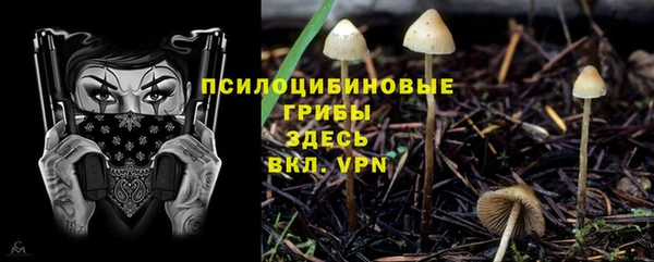 прущие крисы Алексеевка