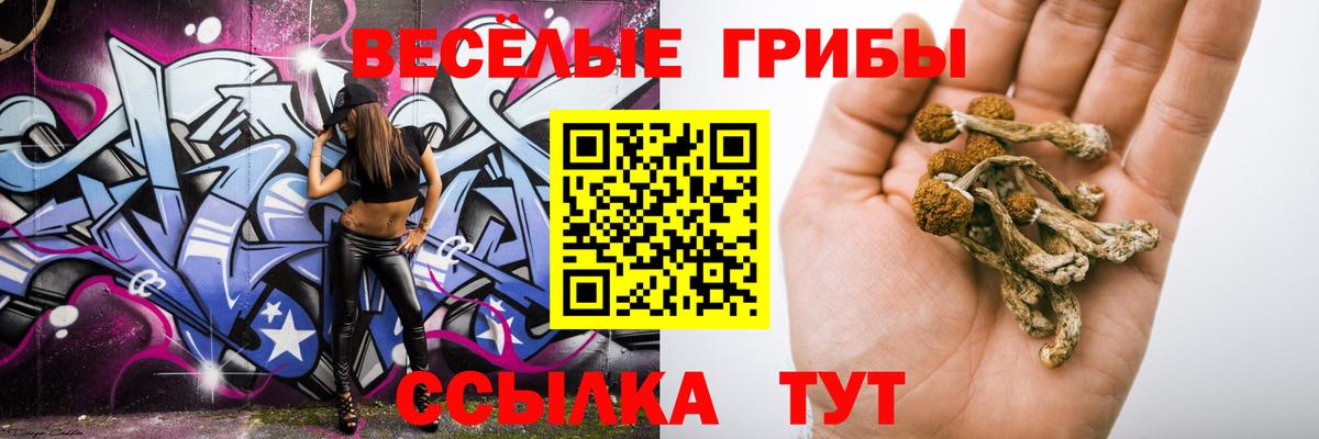 Галлюциногенные грибы ЛСД Феодосия